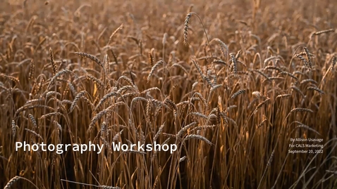 Thumbnail for CALS Communicators Series:  Photography Workshop