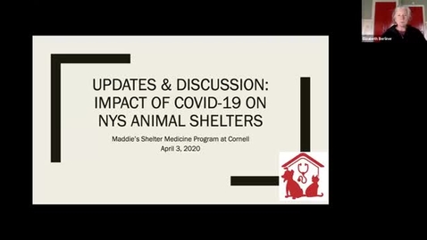 Thumbnail for Main clip-APRIL 3rd Updates &amp; Discussion: The Impact of COVID-19 on NYS Animal Shelters with MSMP at Cornell