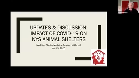 Thumbnail for entry Main clip-APRIL 3rd Updates &amp; Discussion: The Impact of COVID-19 on NYS Animal Shelters with MSMP at Cornell