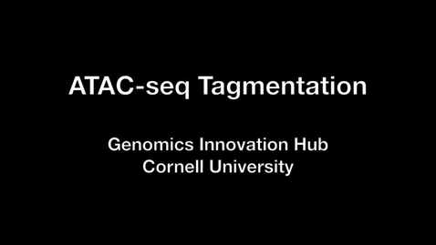 Thumbnail for Tagmentation and Library Prep