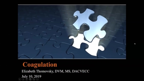 Thumbnail for Coagulation: ACVECC Exam Webinar July 10, 2019