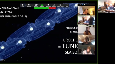 Thumbnail for entry Omisha's UroChordata Trimmed