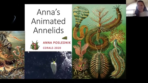 Thumbnail for Anna's Annelida Trimmed