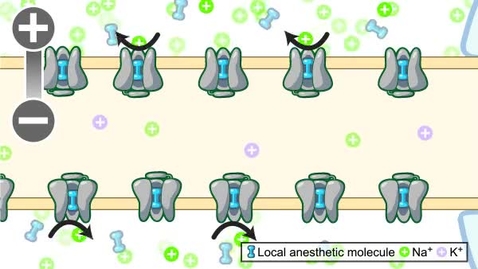 Thumbnail for pfiz_epi_03_01_01_02_vidStep4.flv