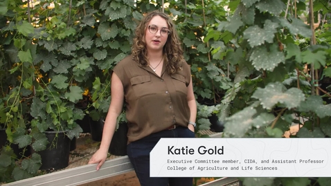 Thumbnail for DA research profile_Katie Gold