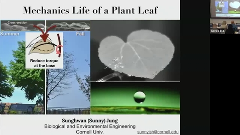 Thumbnail for entry The Mechanics Life of a Plant Leaf 