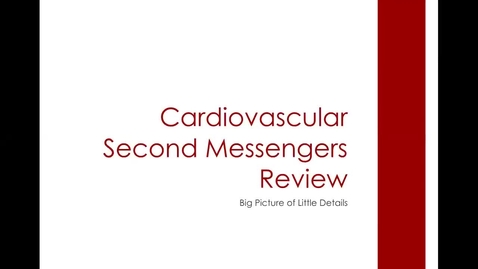 Thumbnail for CV 2nd Messengers: ACVECC Exam Webinar July 23, 2019