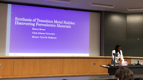 Thumbnail for 2022 REU Presentation: Bianca Brown