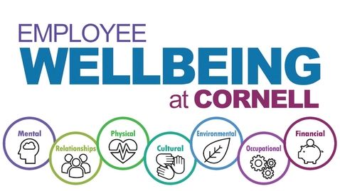 Thumbnail for entry Wellbeing@Work: Wellness in the Occupational Dimension of Wellbeing