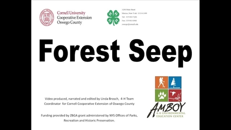 Thumbnail for entry CCE Oswego 4H Forest Seeps