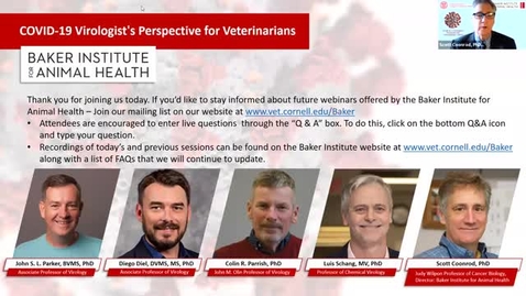 Thumbnail for COVID-19 – A Virologist’s Perspective for Veterinarians - Part II