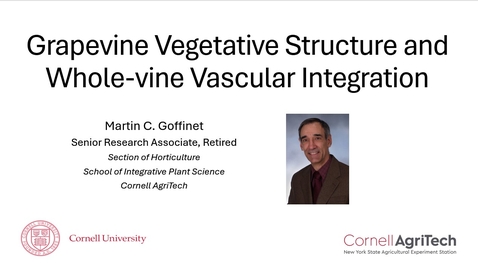 Thumbnail for 1. Grapevine Vegetative Structure and Whole-vine Vascular Integration