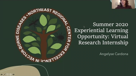 Thumbnail for Virtual Research with the NEVBD