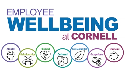 Thumbnail for Wellbeing@Work Interview Series: What Does It Mean to be Healthy In the Relationship Dimension of Wellbeing