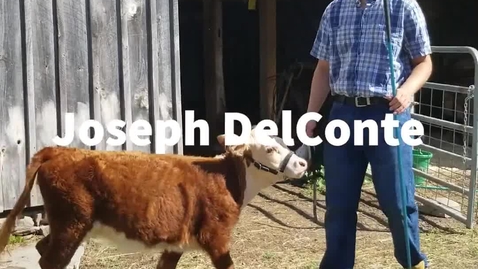 Thumbnail for Livestock Remix Video.mp4