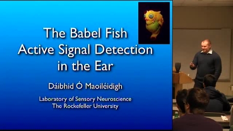 Thumbnail for entry CAM Colloquium, 2014-01-24 - Dáibhid Ó Maoiléidigh: The Babel Fish - Active Signal Detection in the Ear