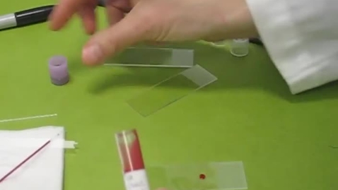 Thumbnail for Blood Smear