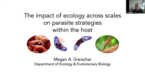 Thumbnail for CAM Colloquium - Megan Greischar (2/19/21)