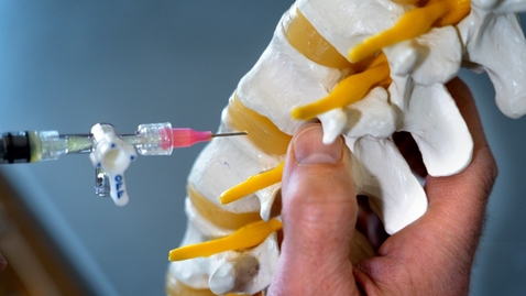 Thumbnail for Bioengineering - Engineering the Future of Medicine, Technology, and More!