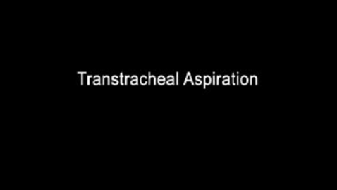 Thumbnail for Canine Transtracheal Aspiration