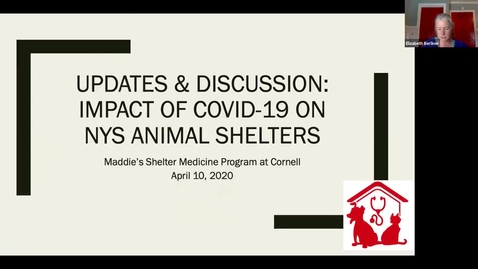 Thumbnail for entry Clip of APRIL 10th Updates &amp; Discussion: The Impact of COVID-19 on NYS Animal Shelters