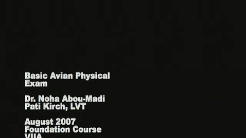 Thumbnail for Avian Physical Exam