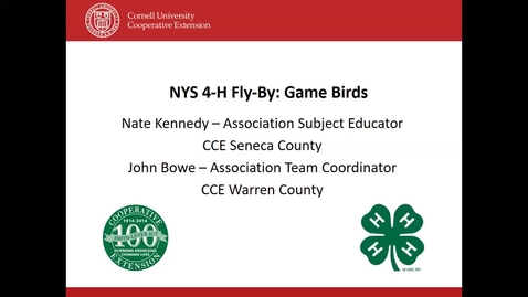 Thumbnail for 4-H Fly By- Game Birds and Mallard Ducks