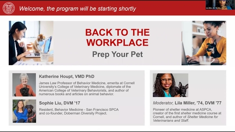 Thumbnail for 1_Back to the Workplace: Prep Your Pet