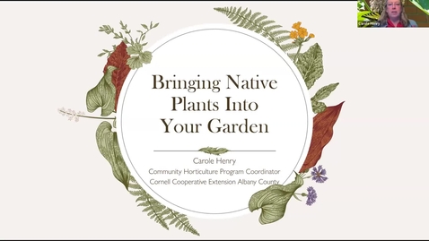 Thumbnail for Native Plants in the Home Landscape presented by Carole Henry, Community Horticulture Program Manager May 5, 2026