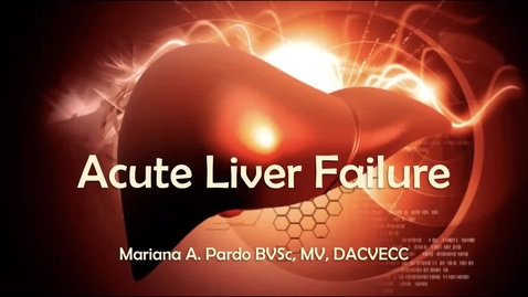 Thumbnail for Acute Liver Failure: ACVECC Exam Webinar 7/18/2019