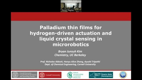 Thumbnail for 2023 CNF REU Kim Final Presentation
