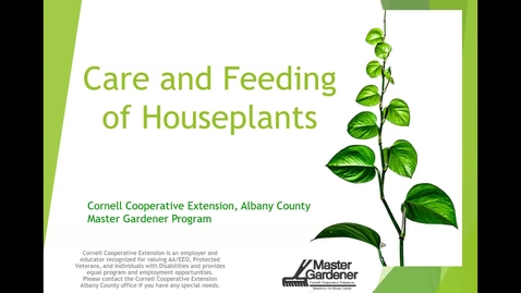 Thumbnail for The Care and Feeding of Houseplants presented by Carole Henry for DOT