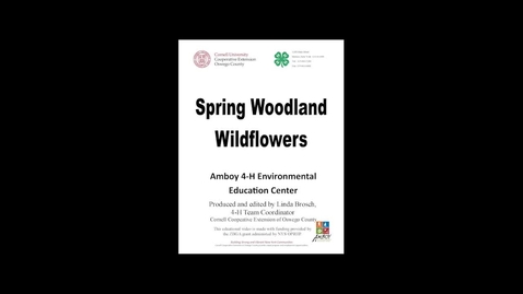 Thumbnail for entry CCEOswego 4H Three Spring Woodland Flowers.mp4