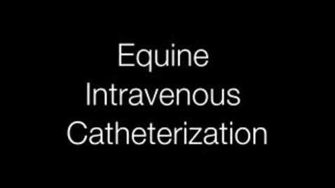 Thumbnail for entry Equine Intravenous Catherization