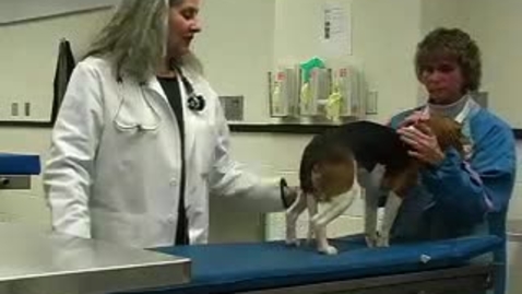 Thumbnail for Dr. Center Extended Exam