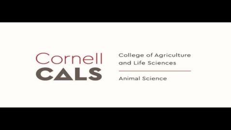 Thumbnail for Forage - Optimizing animal performance: Grazing management and land evaluation tools
