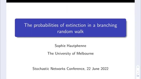 Thumbnail for Stochastic Networks Conference 2022 - Sophie Hautphenne Edit