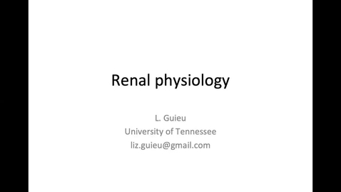 Thumbnail for entry Renal Phys 1: ACVECC Exam Webinar August 19, 2019