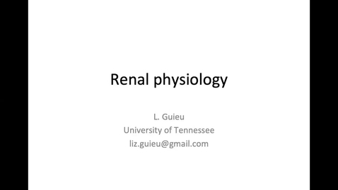 Thumbnail for Renal Phys 1: ACVECC Exam Webinar August 19, 2019