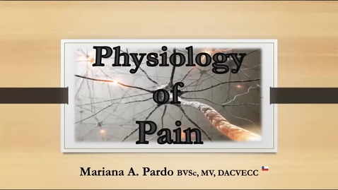 Thumbnail for entry Physiology of Pain: ACVECC Exam Webinar August 5, 2019