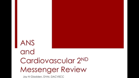 Thumbnail for ANS: ACVECC Exam Webinar July 23, 2019