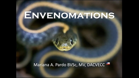 Thumbnail for Envenomations: ACVECC Exam Webinar August 22, 2019