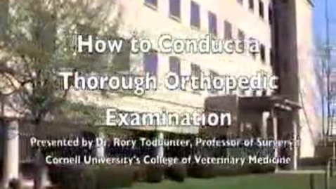 Thumbnail for Dr. Todhunter's Lameness Exam
