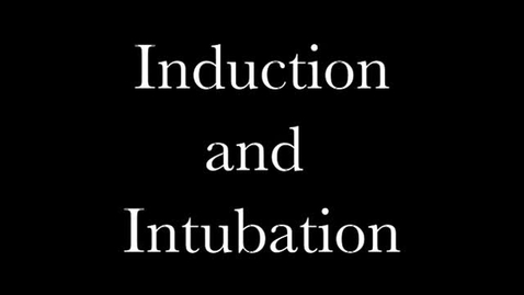 Thumbnail for entry Feline Induction and Intubation