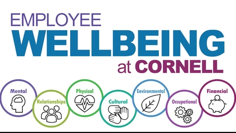 Thumbnail for Wellbeing@Work Interview Series: Physical