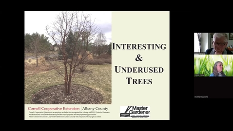 Thumbnail for Trees to Love.mp4