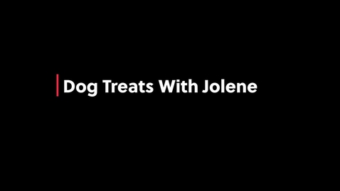 Thumbnail for Dog Treats!