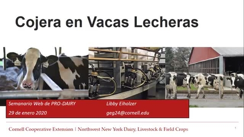Thumbnail for entry Cornell Spanish Dairy Webinars:Lameness in Dairy Cows, Cojera en Vacas Lecheras