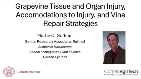 Thumbnail for 3. Grapevine Tissue and Organ Injury, Accomodations to Injury, and Vine Repair Strategies