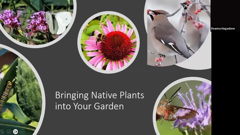 Thumbnail for Bringing Native Plants into Your Garden by Martie Teumim, Master Gardener for NY Tax dept. 3-5-2025